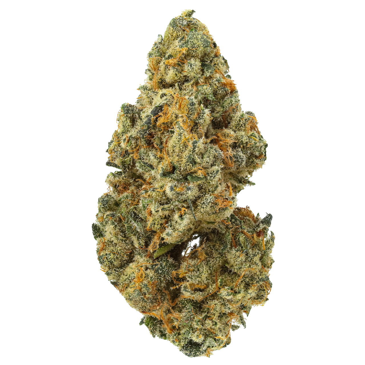 Blueberry