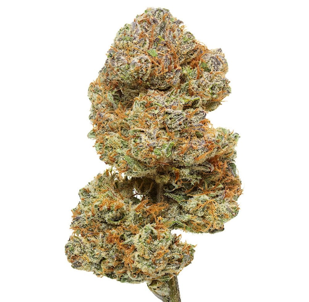 Northern Lights Flowerz