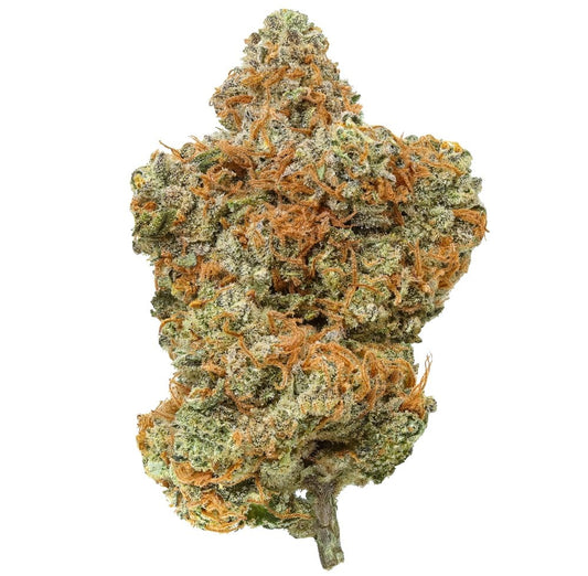 Lemon Cherry Gelato Flowerz