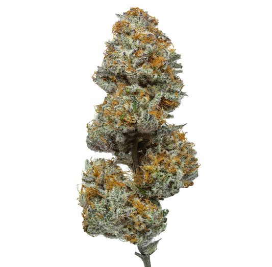 Runtz Flowerz